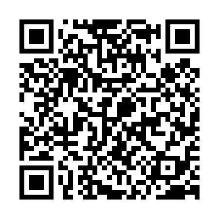 QR code for IU6419