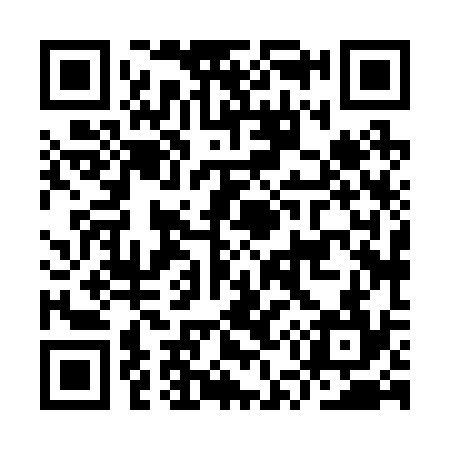 QR code for IU8234