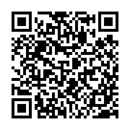 QR code for IU9687