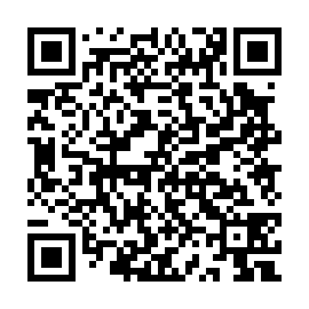 QR code for IV0038