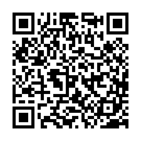 QR code for IV0041