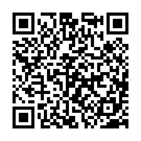 QR code for IV0095