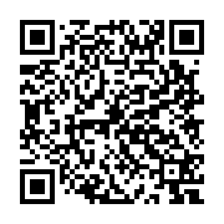 QR code for IV0120