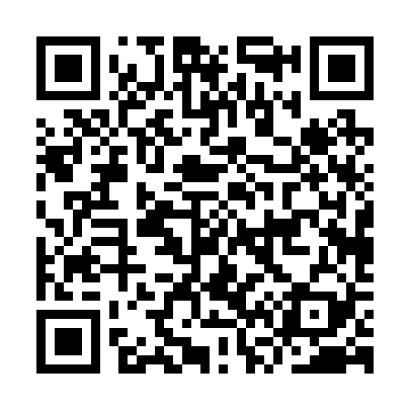 QR code for IV0229