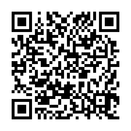 QR code for IV0307