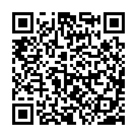 QR code for IV0399