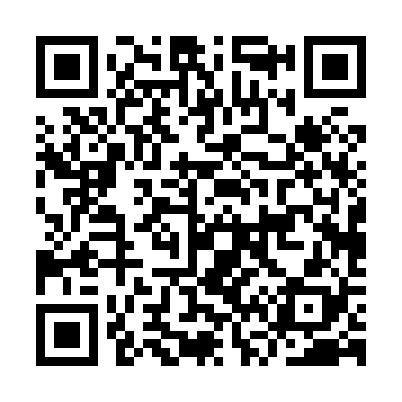QR code for IV0828