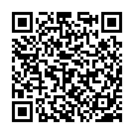 QR code for IV1311