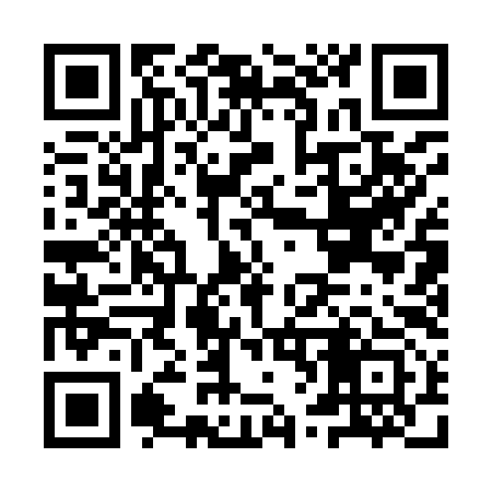 QR code for IV1993