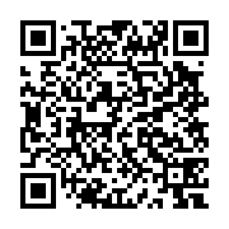 QR code for IV2078