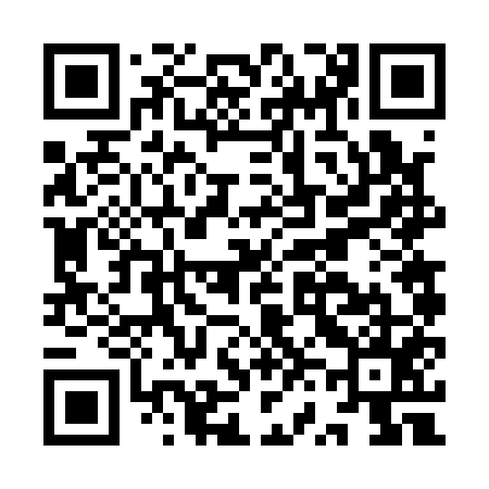 QR code for IV6155