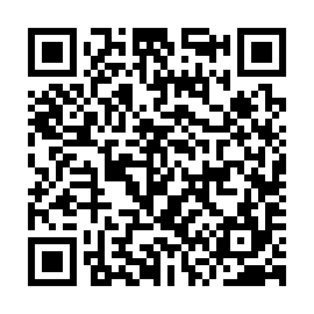QR code for IV6394