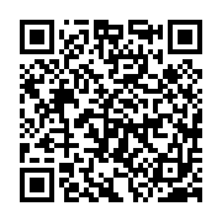 QR code for IV8013
