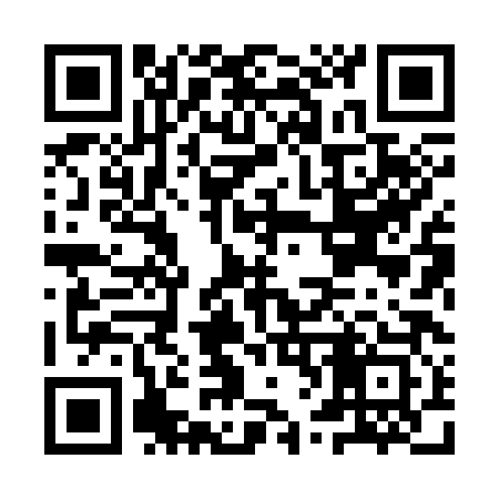 QR code for IV8383