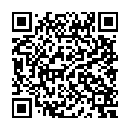 QR code for IV8506