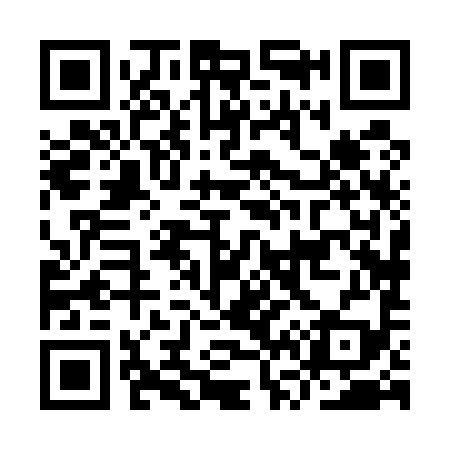 QR code for IV8599