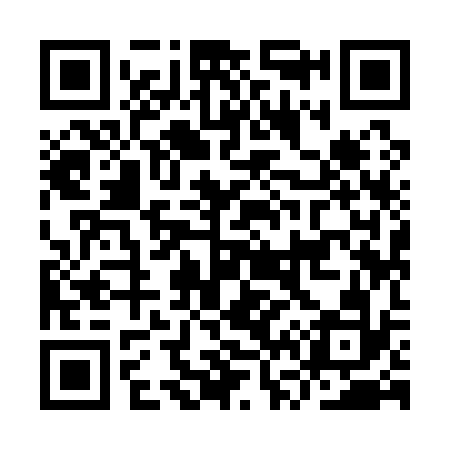 QR code for IV9132