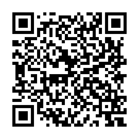 QR code for IV9965