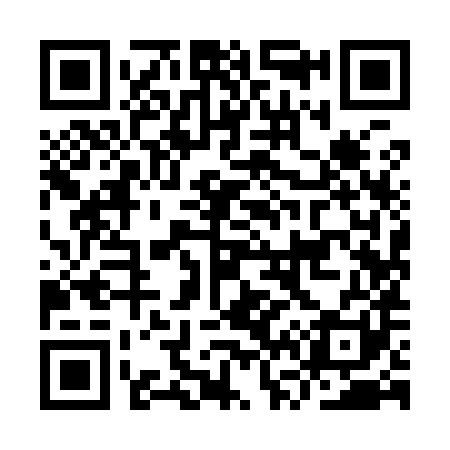 QR code for IV9981