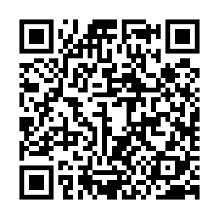 QR code for IW2528