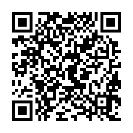 QR code for IX7397