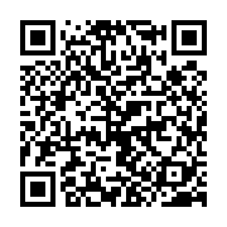 QR code for IX9529