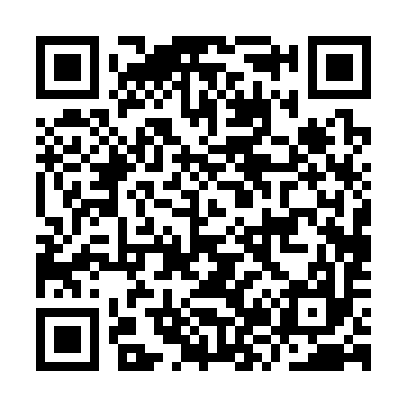 QR code for IZ0397