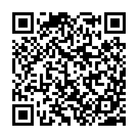 QR code for IZ1245