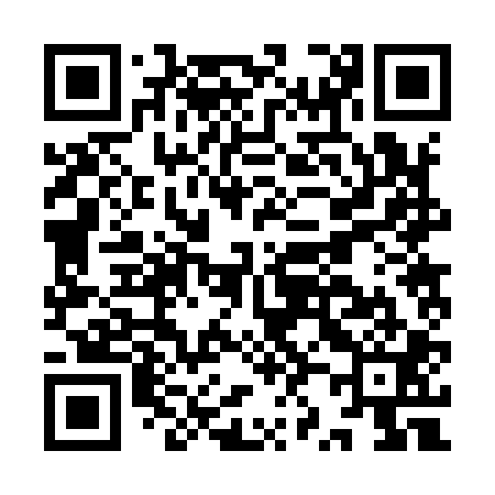 QR code for IZ2901