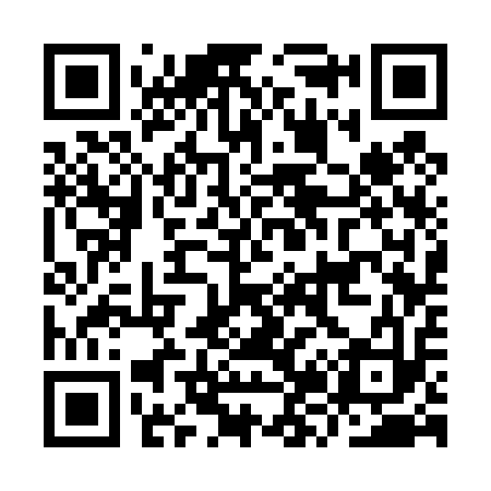 QR code for IZ3413