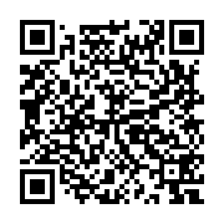 QR code for IZ3958