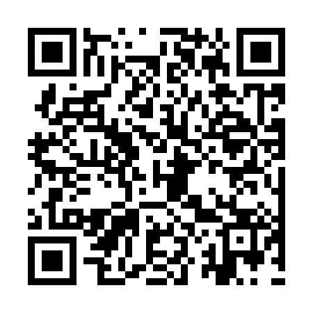 QR code for IZ3983