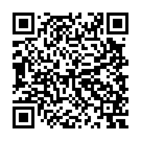 QR code for IZ4041