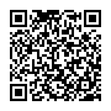 QR code for IZ4994