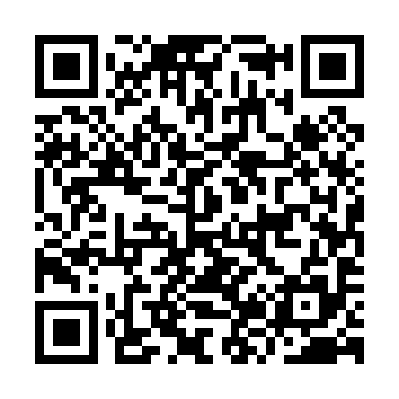QR code for IZ5095