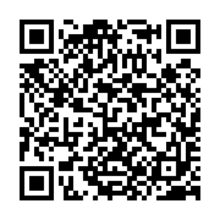 QR code for IZ6593