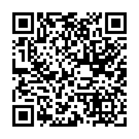 QR code for IZ9387