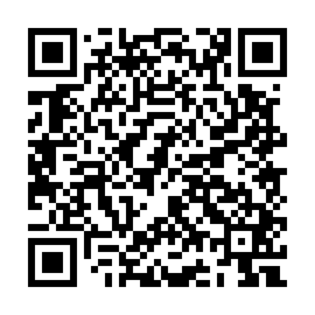 QR code for JG0541
