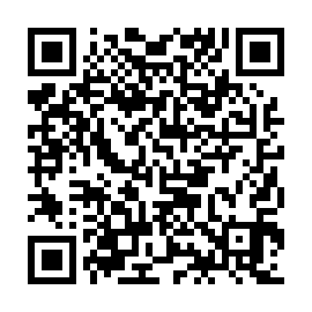 QR code for JI2011