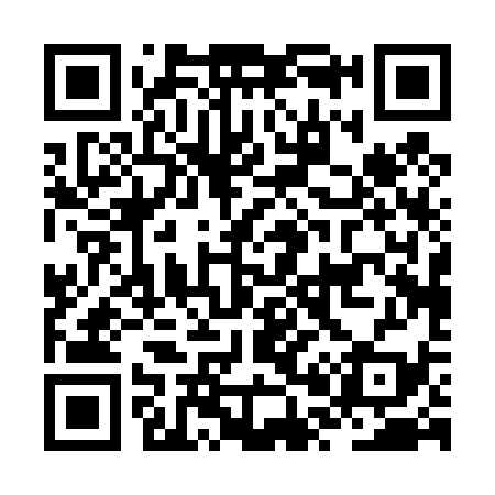 QR code for JP0439