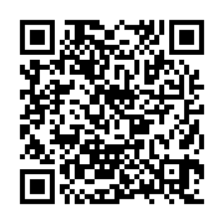 QR code for JP2161