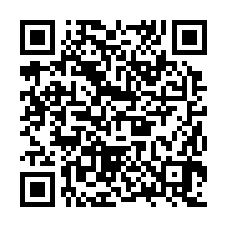 QR code for JP2382