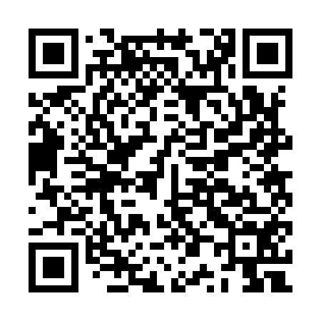 QR code for JP2954