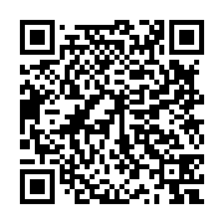 QR code for JP3838