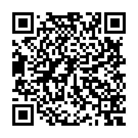 QR code for JP3859