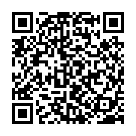 QR code for JP9219