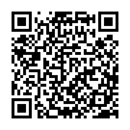 QR code for JV0541