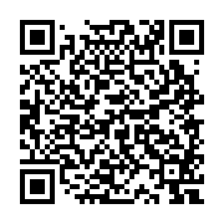 QR code for KR0384