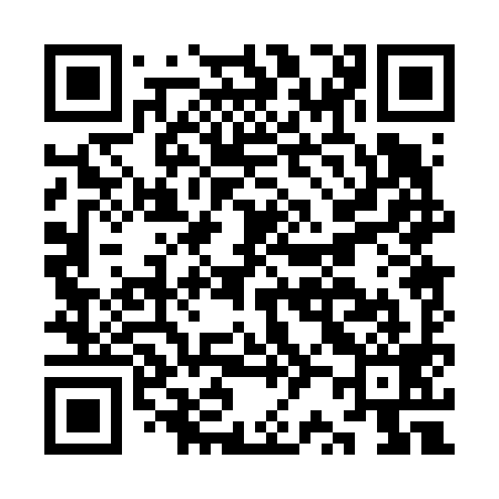 QR code for KR0699