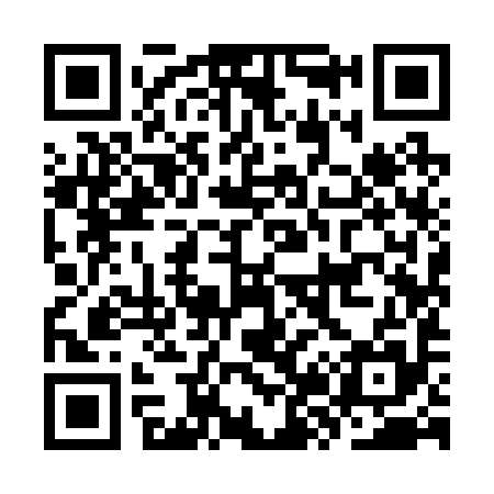 QR code for KZ9295
